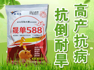 ����ϲ�üZ�����о���