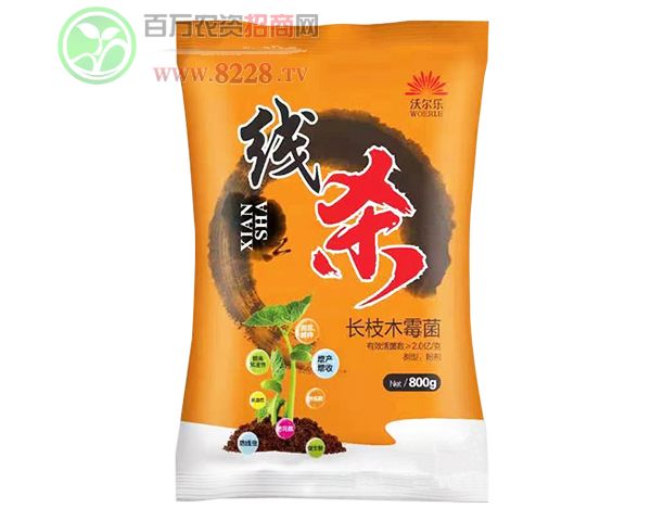 �����֠����r(n��ng)�I(y��)�Ƽ����޹�˾