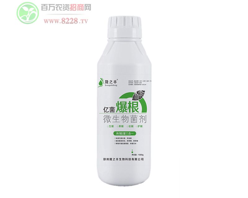 ΢�������-�|������-¡֮�S